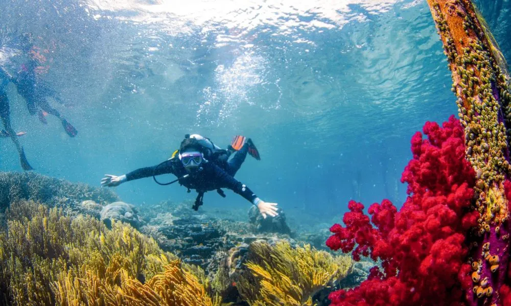 Wisata Menyelam © 2021 brilio.net Wisata Menyelam © 2021 brilio.net