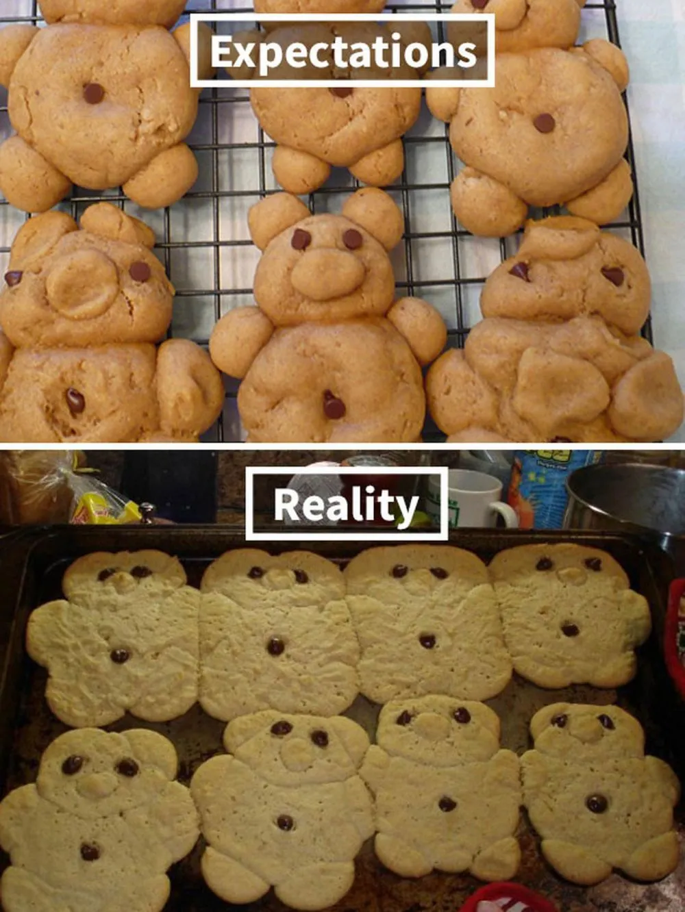 ekspektasi vs realita kue kering © 2021 berbagai sumber ekspektasi vs realita kue kering © 2021 berbagai sumber