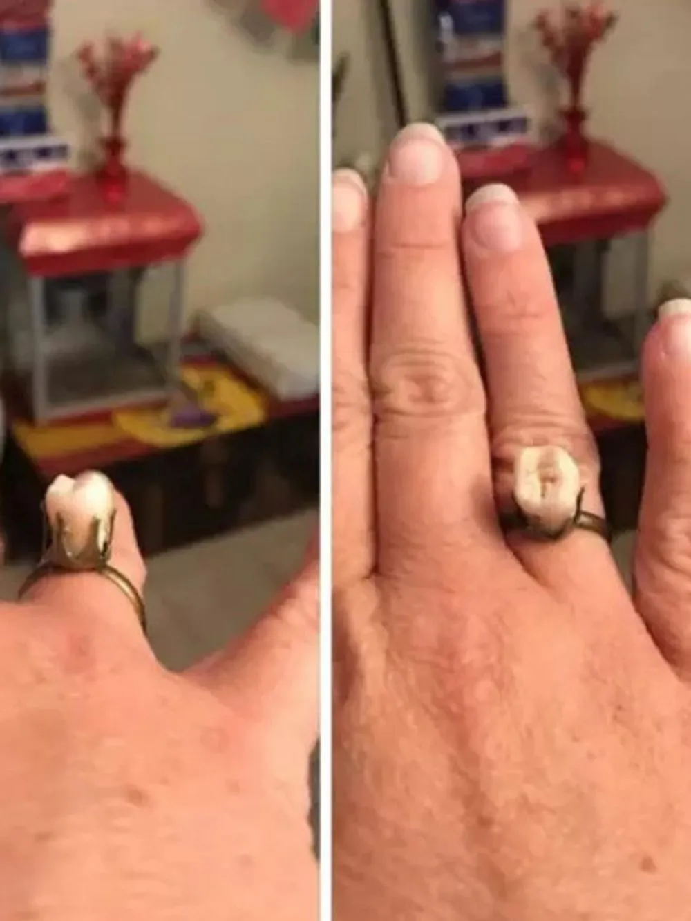 benda menyerupai perhiasan © 2021 berbagai sumber benda menyerupai perhiasan © 2021 berbagai sumber