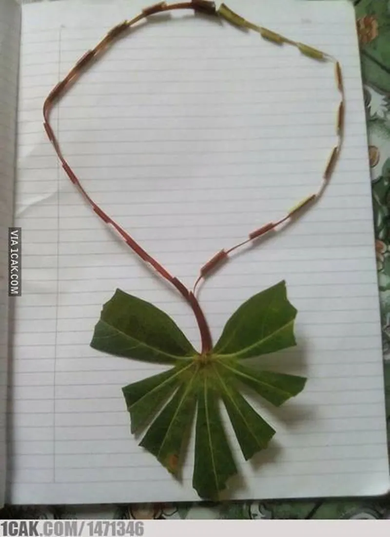 benda menyerupai perhiasan © 2021 berbagai sumber benda menyerupai perhiasan © 2021 berbagai sumber