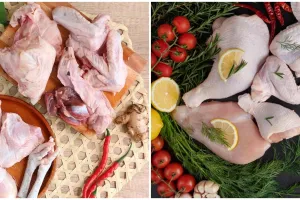 5 Perbedaan daging ayam kampung dan broiler, tekstur hingga warna