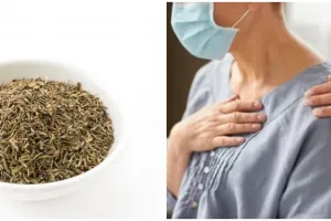 8 Manfaat oregano untuk kesehatan, turunkan risiko diabetes