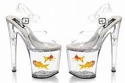 sepatu  model unik Berbagai sumber