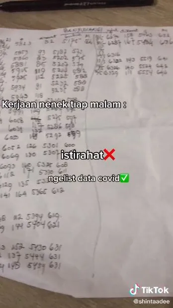 nenek bikin list data covid TikTok nenek bikin list data covid TikTok