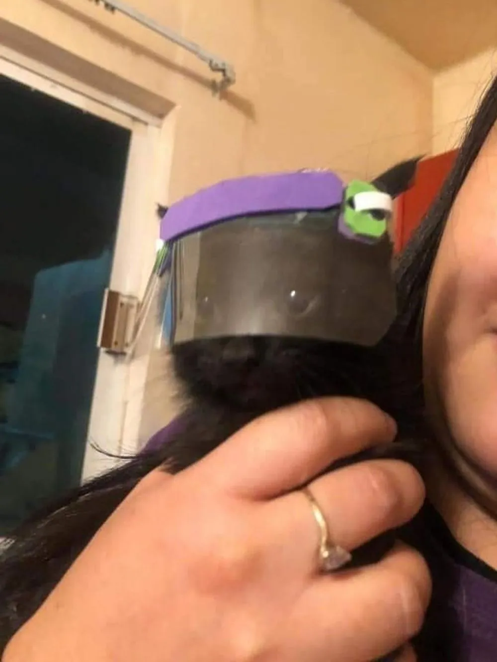 potret kucing taati protokol kesehatan Berbagai sumber