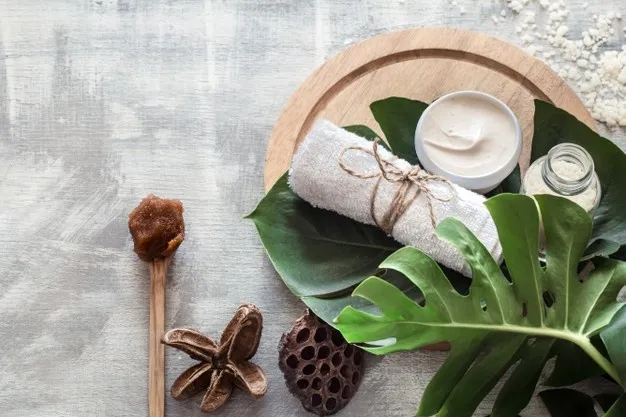 daun binahong untuk kesehatan dan kecantikan © 2021 brilio.net daun binahong untuk kesehatan dan kecantikan © 2021 brilio.net