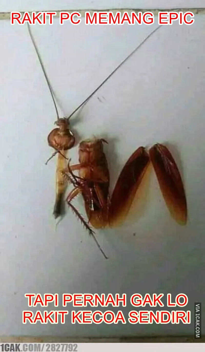 meme ngerakit sendiri © 2021 berbagai sumber meme ngerakit sendiri © 2021 berbagai sumber