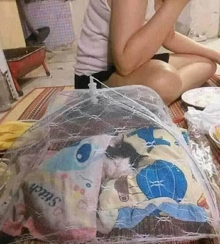 momen lucu emak dan hewan peliharaan © 2021 instagram.com momen lucu emak dan hewan peliharaan © 2021 instagram.com