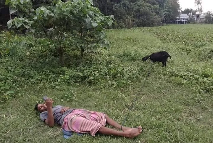 momen lucu asal rebahan © 2021 instagram.com momen lucu asal rebahan © 2021 instagram.com