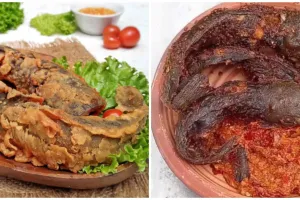 9 Manfaat ikan lele untuk kesehatan, baik bagi kecerdasan otak