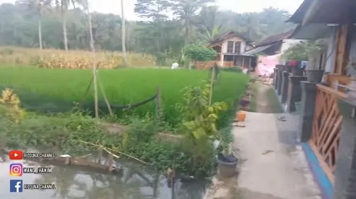 rumah mewah dari kayu jati Berbagai sumber