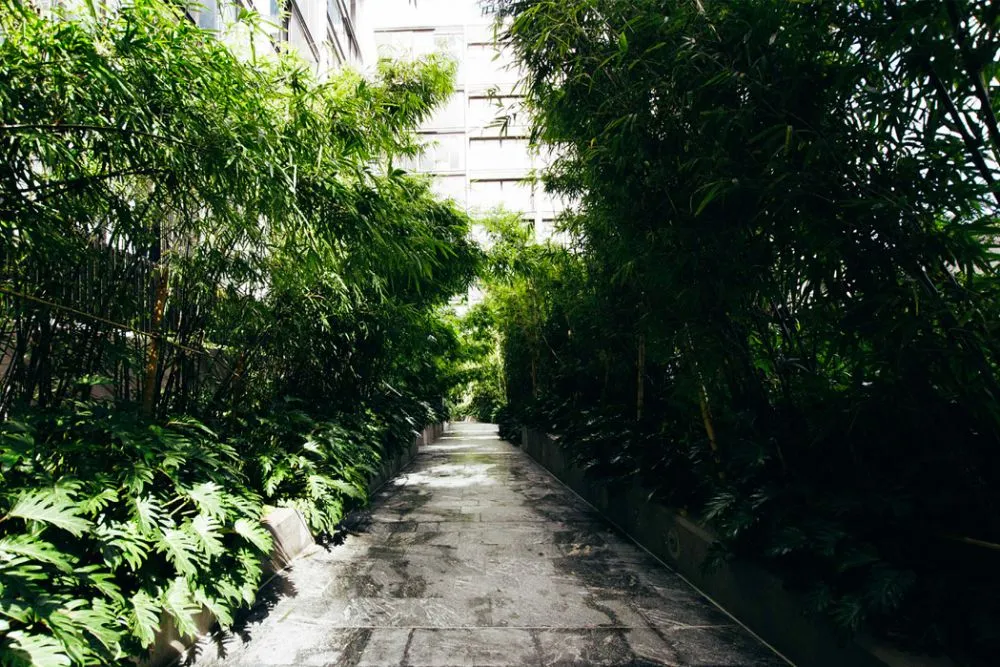 3 Konsep apartemen biofilik © 2021 brilio.net 3 Konsep apartemen biofilik © 2021 brilio.net