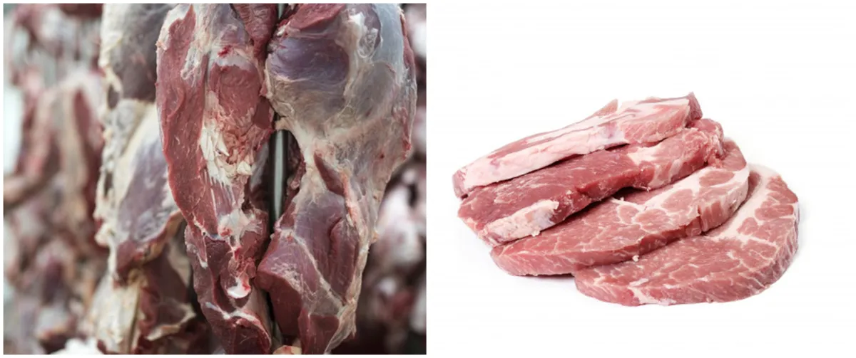 Hukum menjual daging kurban, lengkap dengan dalilnya