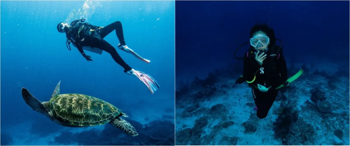 Momen 7 seleb diving di Labuan Bajo, Awkarin bertemu Penyu raksasa