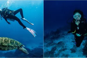 Momen 7 seleb diving di Labuan Bajo, Awkarin bertemu Penyu raksasa