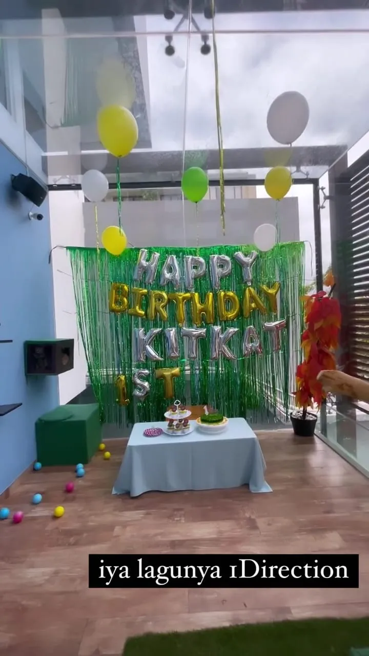 momen salmafina sunan rayakan ultah kucing © instagram momen salmafina sunan rayakan ultah kucing © instagram