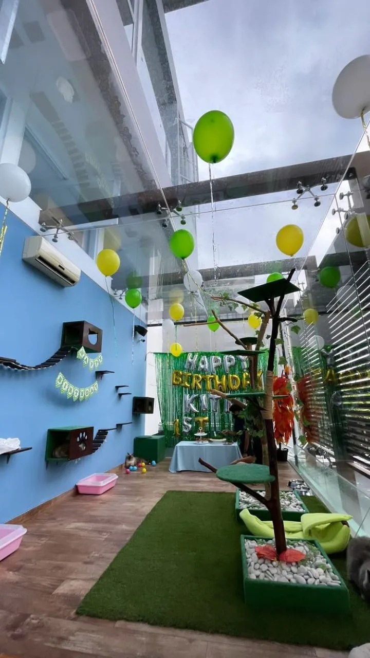 momen salmafina sunan rayakan ultah kucing © instagram momen salmafina sunan rayakan ultah kucing © instagram