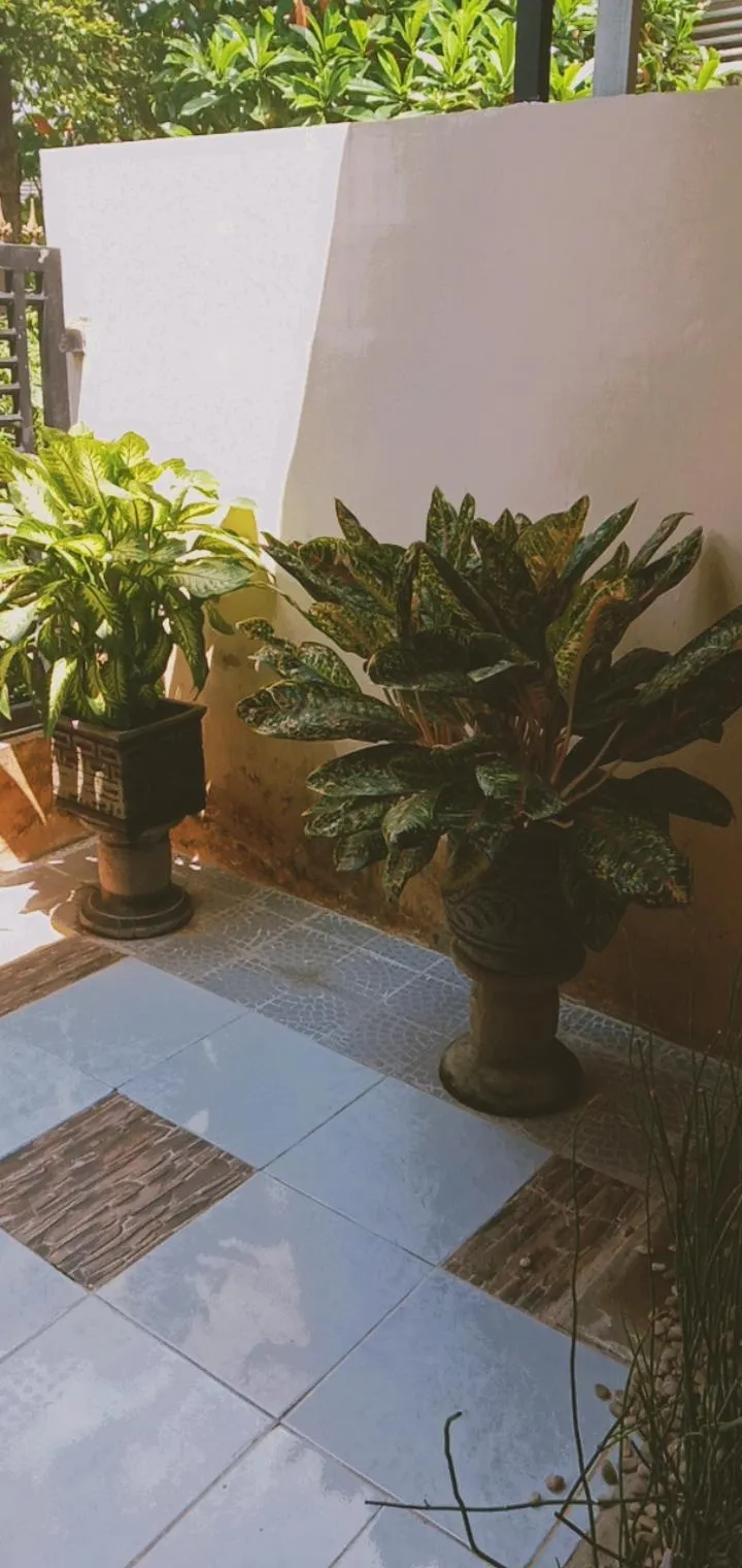 Potret lucu lantai keramik © berbagai sumber Potret lucu lantai keramik © berbagai sumber