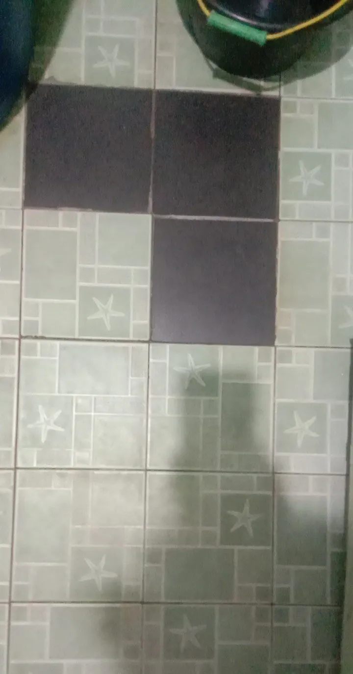 Potret lucu lantai keramik © berbagai sumber Potret lucu lantai keramik © berbagai sumber