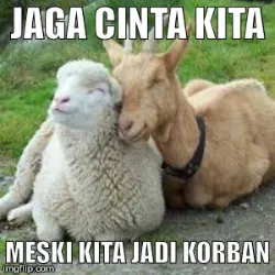 Meme lucu hewan kurban © 1cak.com Meme lucu hewan kurban © 1cak.com
