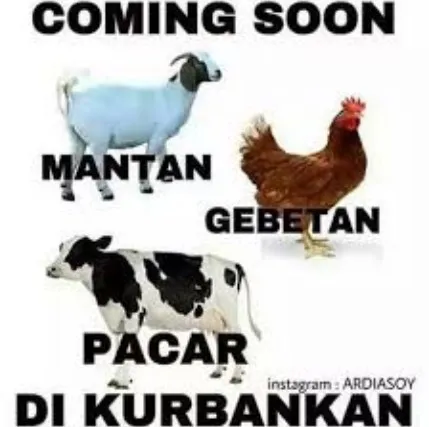 Meme lucu hewan kurban © 1cak.com Meme lucu hewan kurban © 1cak.com