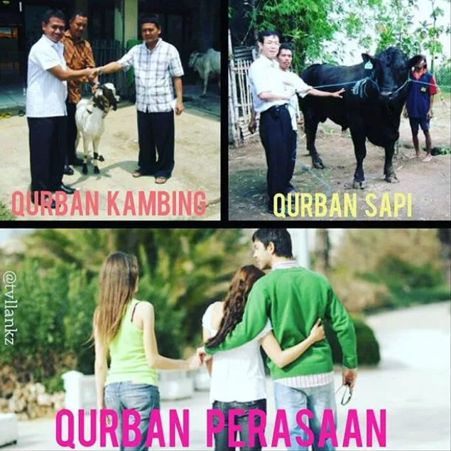Meme lucu hewan kurban © 1cak.com Meme lucu hewan kurban © 1cak.com