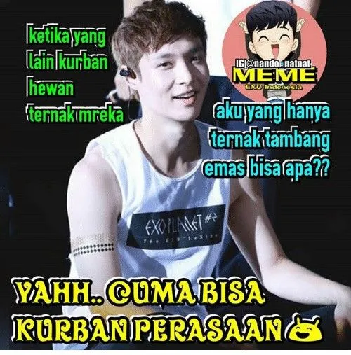 Meme lucu hewan kurban © 1cak.com Meme lucu hewan kurban © 1cak.com
