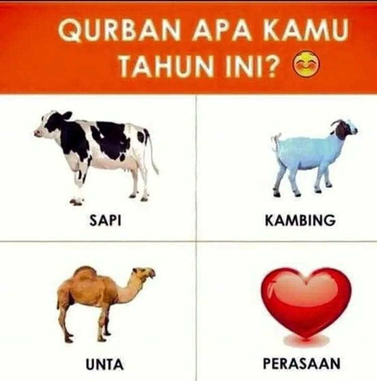 Meme lucu hewan kurban © 1cak.com Meme lucu hewan kurban © 1cak.com