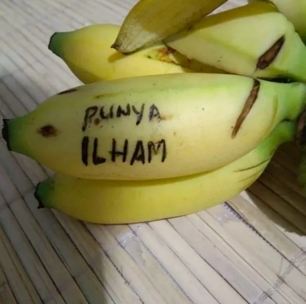 Kelakuan lucu cowok pas gabut © Instagram Kelakuan lucu cowok pas gabut © Instagram