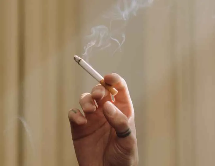 buah ceri untuk kesehatan © 2021 brilio.net buah ceri untuk kesehatan © 2021 brilio.net