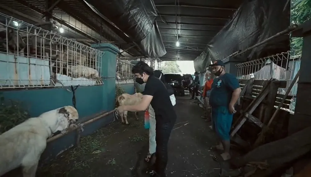 Atta Halilintar dan Aurel Hermansyah beli hewan kurban © 2021 brilio.net YouTube Atta Halilintar dan Aurel Hermansyah beli hewan kurban © 2021 brilio.net YouTube