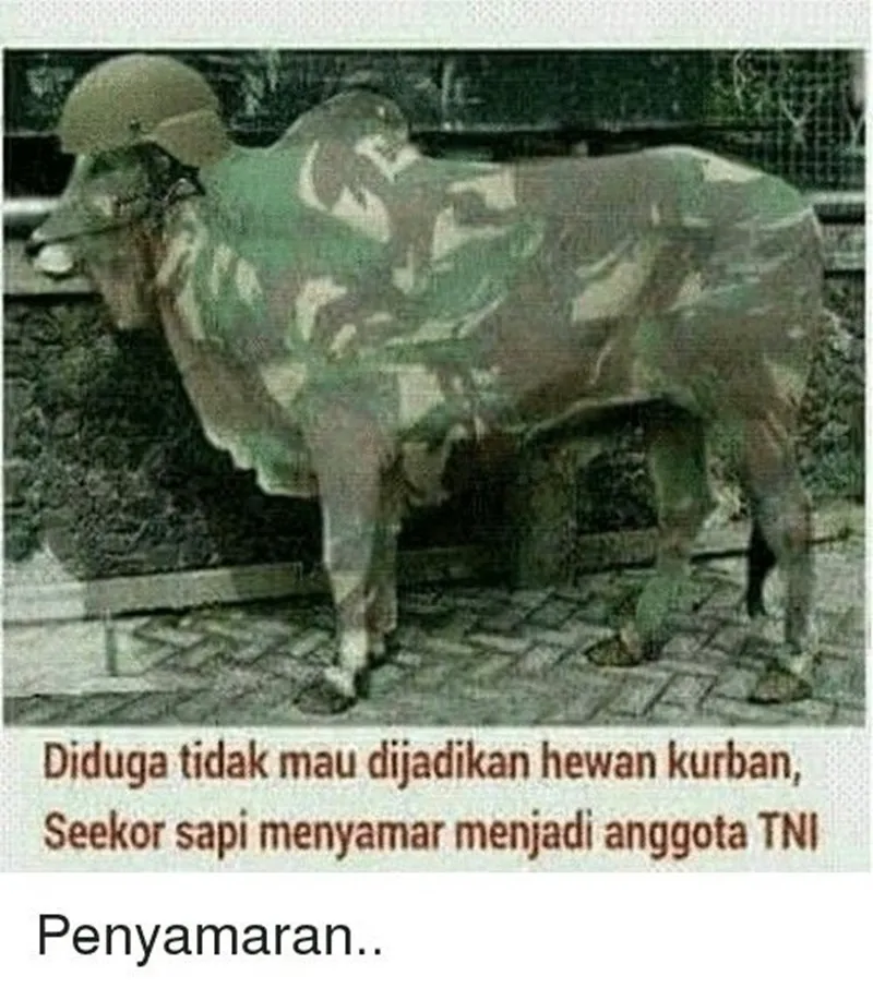 meme sapi galau © 2021 berbagai sumber