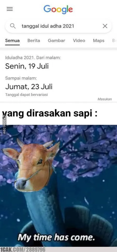 meme sapi galau © 2021 berbagai sumber