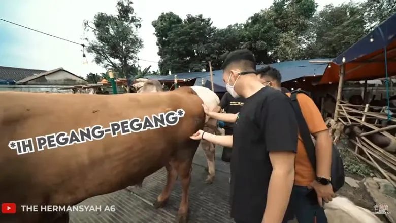 Azriel Hermansyah beli sapi © YouTube/The Hermansyah A6 Azriel Hermansyah beli sapi © YouTube/The Hermansyah A6