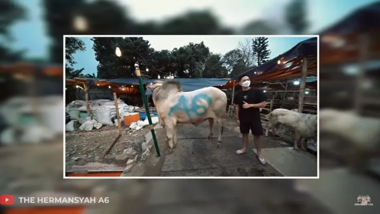 Azriel Hermansyah beli sapi © YouTube/The Hermansyah A6 Azriel Hermansyah beli sapi © YouTube/The Hermansyah A6