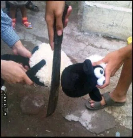 Kurban ala anak kos © 1cak.com Kurban ala anak kos © 1cak.com