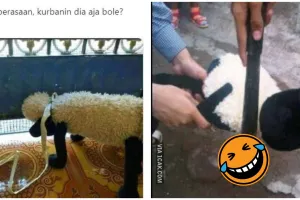 11 Potret lucu Hari Raya Kurban ala anak kos ini bikin nyengir