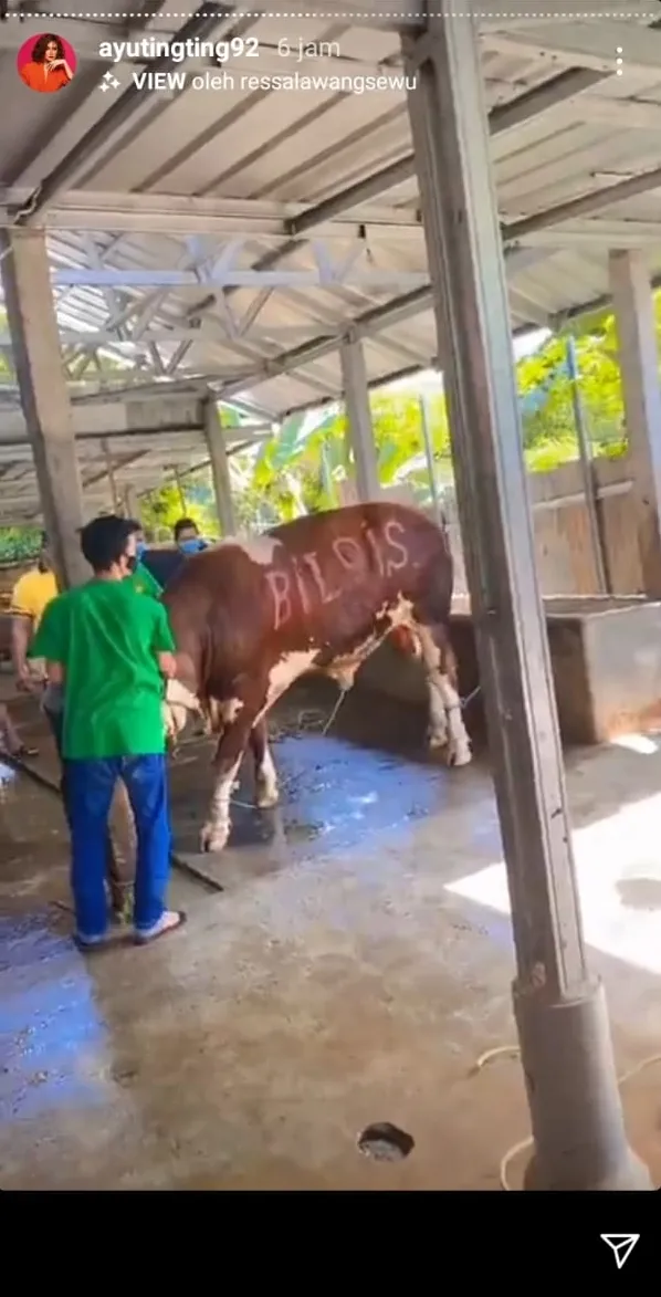 Momen Ayu Ting Ting potong daging kurban © 2021 brilio.net