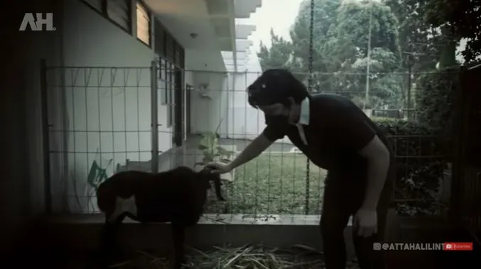 Momen Atta Halilintar bersama hewan kurban © 2021 brilio.net