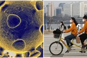 Sebanyak 191,9 juta orang di dunia positif Covid-19 per 22 Juli 2021