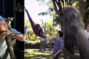 7 Lagu anak ala Ardhito Pramono, petualangan Semar & Pasukan Monyet  