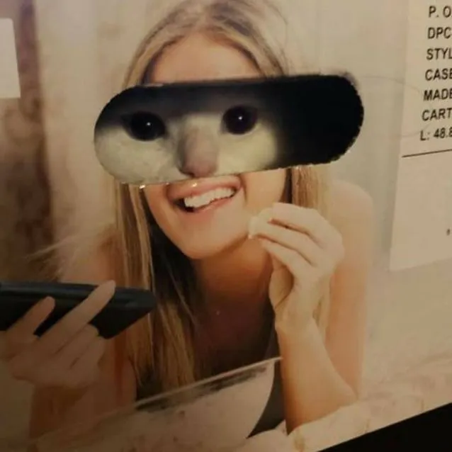 potret lucu kucing ngagetin © 2021 instagram.com potret lucu kucing ngagetin © 2021 instagram.com