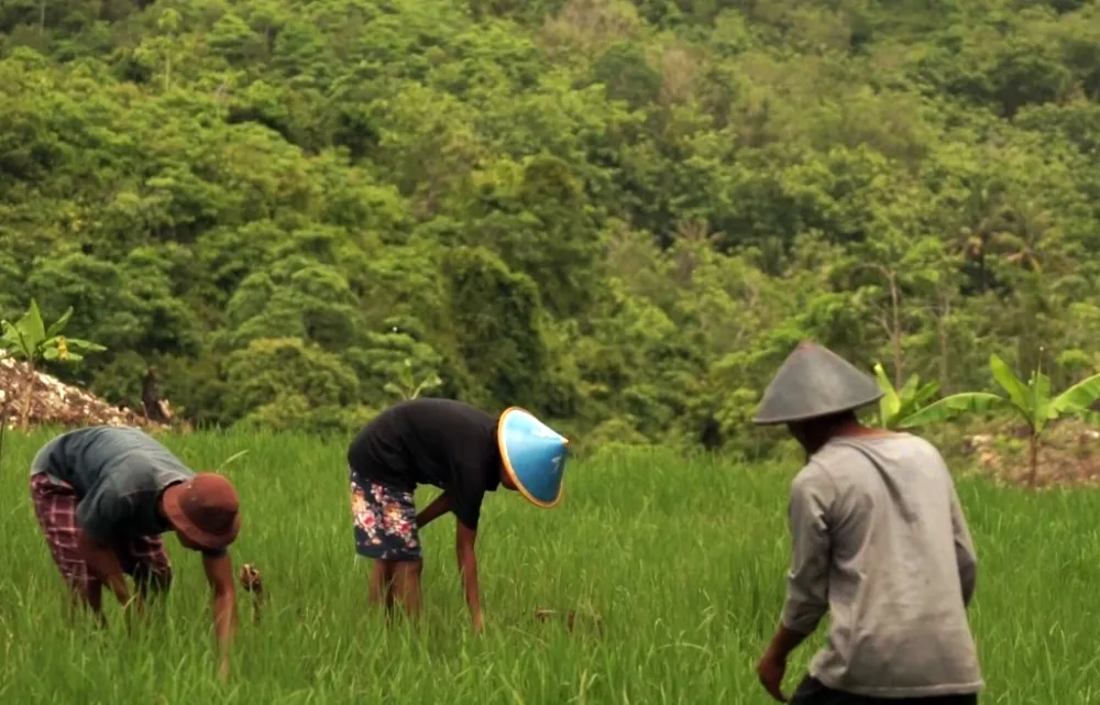 Embung Grigak © 2021 brilio.net