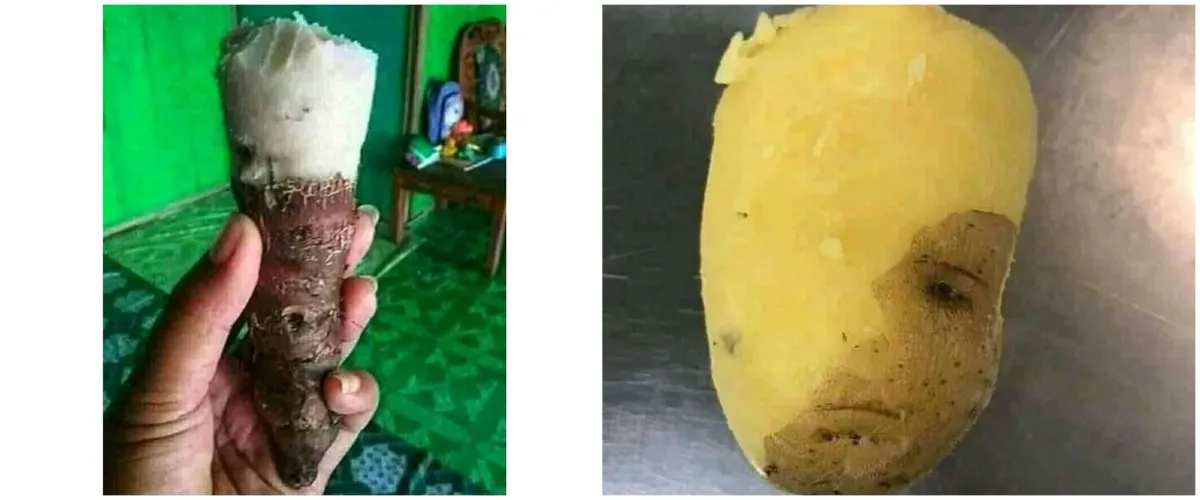 11 Potret lucu makanan ini bikin kamu harus lihat dua kali