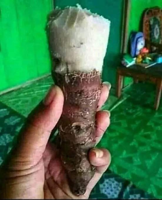 potret makanan yang menipu mata © 2021 instagram.com potret makanan yang menipu mata © 2021 instagram.com