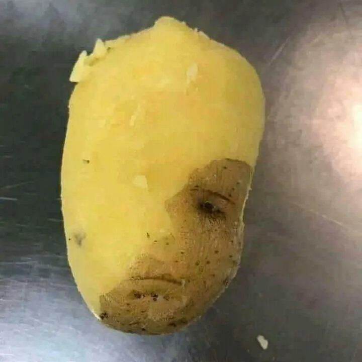 potret makanan yang menipu mata © 2021 instagram.com potret makanan yang menipu mata © 2021 instagram.com