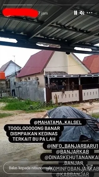 kera serbu rumah warga © 2021 Instagram kera serbu rumah warga © 2021 Instagram
