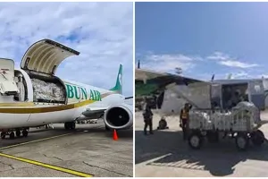 Sempat hilang kontak, pesawat Rimbun Air ditemukan di Intan Jaya Papua