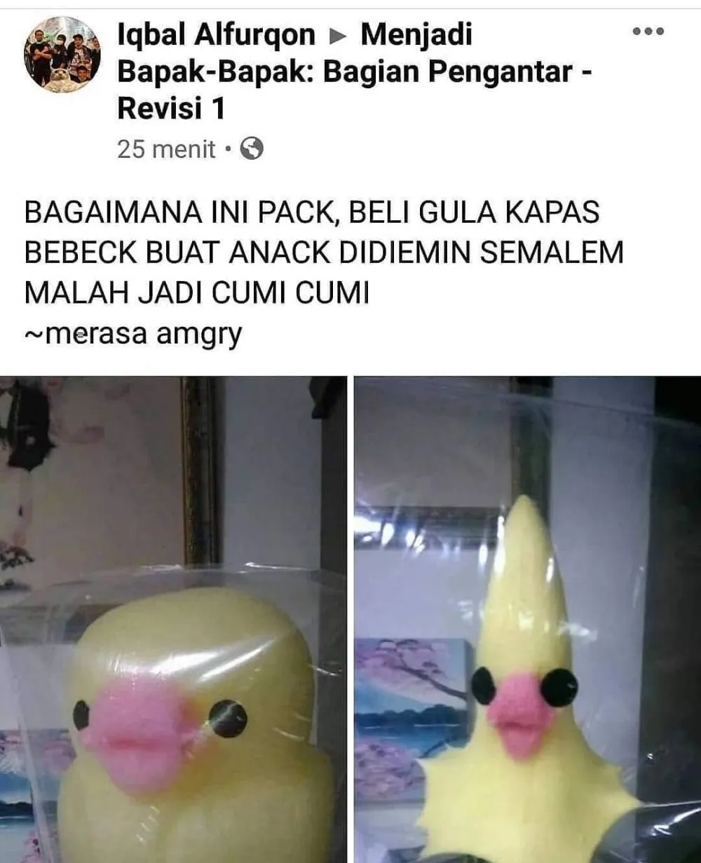 status fb ceritain pengalaman lucu absurd © 2021 instagram.com