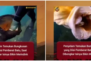 Viral penyelam temukan bungkusan hitam di laut, isinya bikin merinding